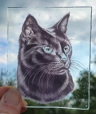Buy Stained Glass Black Cat Traditional Kiln Fired 10 Cm X 8 Cm • 18£