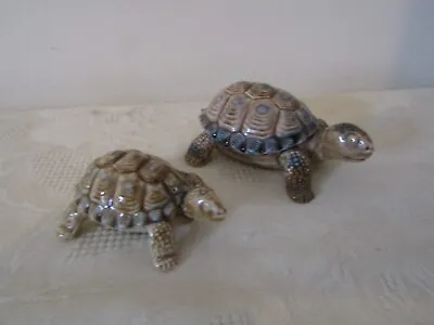 Buy Wade Pottery Pair Of Graduated Tortoise Figurines Ornaments • 11.99£