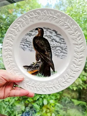 Buy EAGLE  Plate 10.5” Adams Birds Of Washington America  John James Audubon  • 9.99£