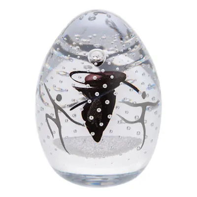 Buy Caithness Glass Paperweights Limited Editions - Various Designs • 83.70£