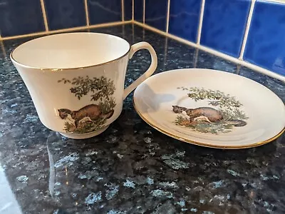 Buy Elizabethan Staffordshire Otter Teacup And Saucer Fine Bone China • 10£
