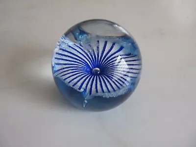 Buy Caithness, Blue Petunia Flower, Glass Paperweight. Etched Caithness. Scotland. • 2£