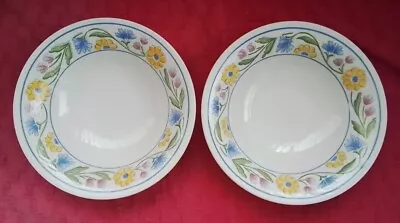 Buy Vintage Staffordshire Tableware, 'Summer Meadow' Pattern 17.5cm Cereal Bowls X 2 • 9.95£