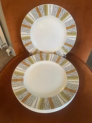 Buy Midwinter   Sienna    Salad Plate / Small Dinner Plate - 22.5 Cm . • 2.50£