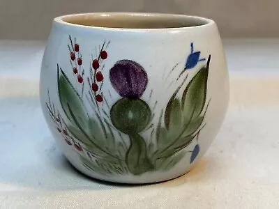 Buy Buchan Of Portobello Art Pottery Thistle Pattern Sugar Bowl Stoneware C1980 • 4£