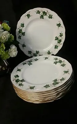 Buy Colclough Ivy Leaf Salad Plates Bone China 9 Pieces Green White • 85£