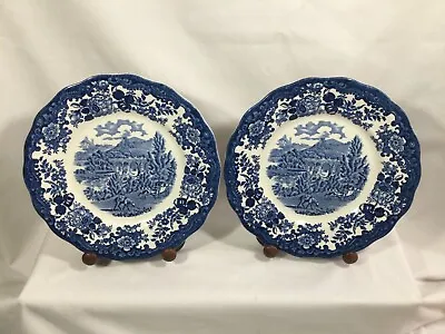 Buy WORCESTER PALISSY BLUE & WHITE STAFFORDSHIRE HAND ENGRAVED 2 DINNER PLATES  23cm • 8£