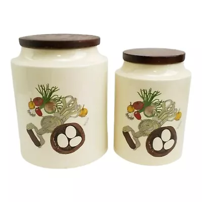 Buy Vintage 1970s Hyalyn Pottery Ceramic Kitchen Canisters Wendy Wheeler Set Of 2 • 21.15£