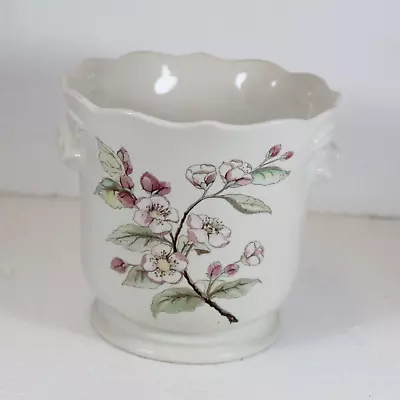 Buy Royal Winton Pot Holder Planter Jardiniere Cache Vintage Apple Blossom Floral • 9.99£