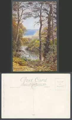 Buy A.R. Quinton Old Postcard Branksome Chine River Scene Bournemouth Dorset ARQ 927 • 2.99£
