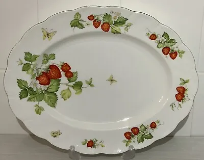 Buy Queen’s China, Wild Strawberry, Large Oval Serving Platter Plate 33.7cm X 26cm • 20.40£