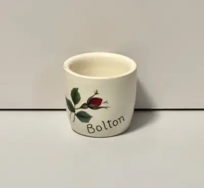 Buy Vintage Egg Cup BOLTON Souvenir New Devon Pottery Newton Abbot Handpainted Rose • 9£