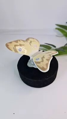 Buy NAO Butterfly Figurine Daisa 2004  Excellent • 25£