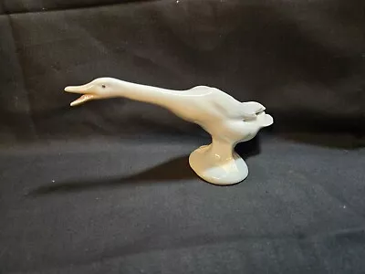 Buy Lladro Swan Ornament • 59.99£