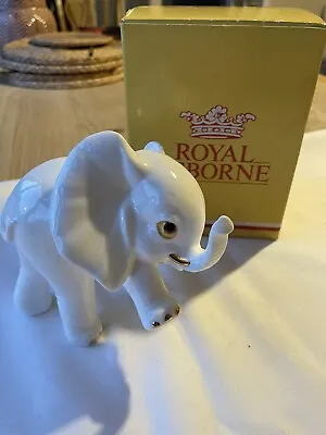 Buy Royal Osborne Elephant Gold Tusks Bone China Wildlife Figurine Tmr 3772 • 9.90£