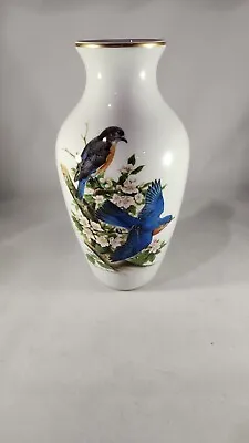 Buy KAISER Exclusive Peterson BLUEBIRDS JAY Vintage Porcelain Naturalism Big VASE • 61.67£