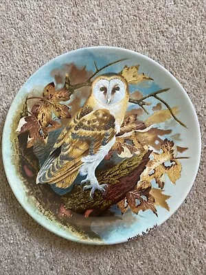 Buy Barn Owl Coalport Collectors Plate From The Wise Owl Series 26-c58-5.1 • 0.99£