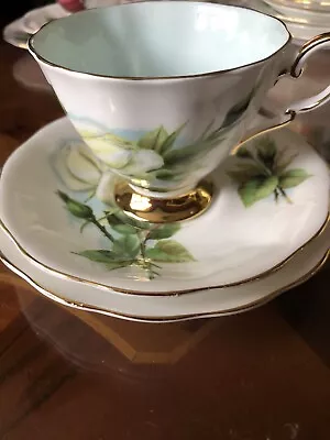 Buy Royal Standard Harry Wheatcroft Famous Roses Series Virgo Tea Cup Set • 15£