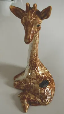 Buy Giraffe Trentham Art Ware Made In Devon Giraffe 22cm Tall • 10£