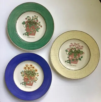 Buy Sarah’s Garden Set Of 3 Wedgwood Plates • 33.62£