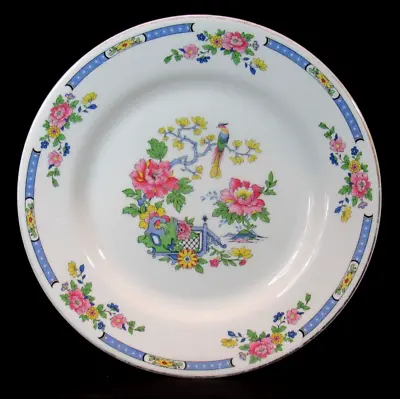 Buy Lord Nelson Pottery  England INDIAN TREE DINNER PLATE 10 1/4  • 9.65£