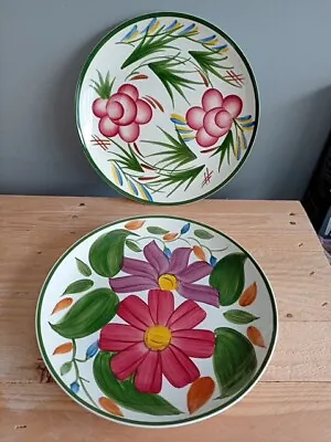 Buy Pair Royal Victoria Wade Pottery Plates  Sorrento  Bright Colourful Flowers  • 18£