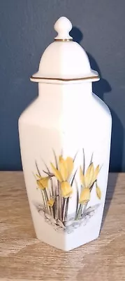 Buy Royal Worcester Mini Lidded Floral Urn/Pot/Jar Daffodil/Anemone With Gold Trim • 5.99£
