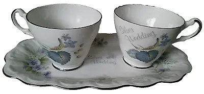 Buy Bone China Silver Wedding Anniversary Tea For Two Set Queen's Of Staffordshire • 9.95£