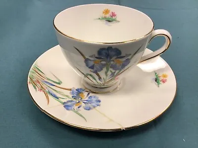 Buy Tuscan English Fine Bone China Blue Iris Footed Tea Cup And Saucer • 9.48£