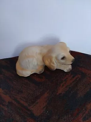 Buy Harvey Knox HHH Golden Retriever Puppy Dog ,Vintage Pottery Figurine - Signed HR • 9.95£