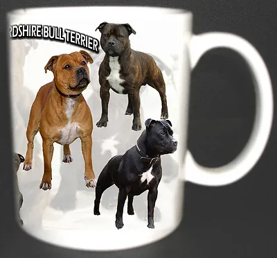 Buy Staffordshire Bull Terrier Dog Design Staffy Coffee Mug. Limited Edition Gift *  • 10.99£