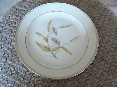 Buy Thomas 7423 Salad Plate12 Available • 3.60£