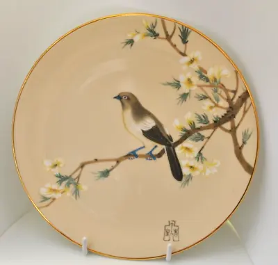 Buy Rare Royal Grafton Vintage Bone China Cream Plate With Bird Design • 11£