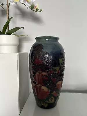 Buy LARGE (10”) 25cm MOORCROFT OVOID VASE  FINCHES” BY DESIGNER SALLY TUFFIN • 200£