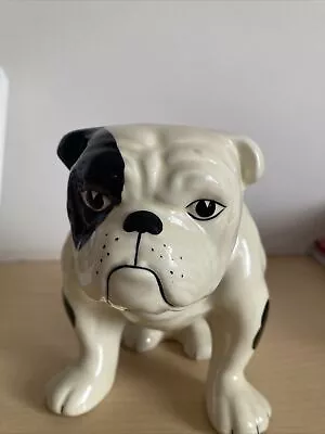 Buy Bulldog China Ornament Wood Potteries Of Burslem • 5£