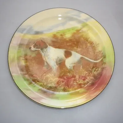 Buy Royal Doulton Series Ware   DOGS   Pattern   RACK Plate • 21.54£