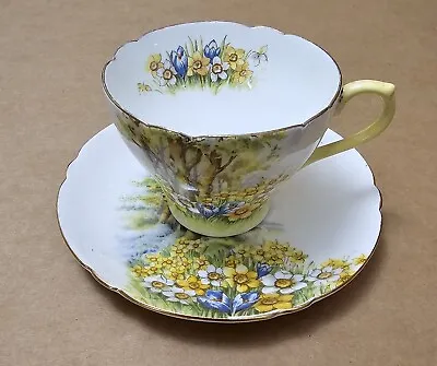Buy Vintage Shelley  Daffodil Time  Bone China Cup And Saucer • 15£