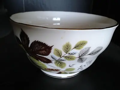 Buy QUEEN ANNE Ridgway Potteries Vtg Bone China Sugar Bowl Autumn Leaves Pine Cones • 2£