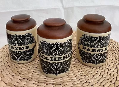 Buy 3 Shannon Pottery Republic Of Ireland Spice Jars • 9£