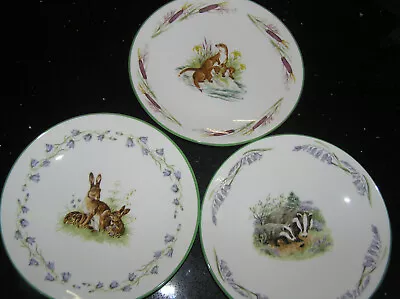 Buy Lovely Set Of 3 Crown Staffordshire Country Friends Collectors Plates 1st Qty • 19.95£