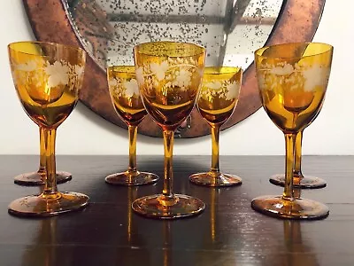 Buy Antique Bohemian Set Of Amber Cut To Clear Cordial Liqueur Glasses Vine Motif • 80£