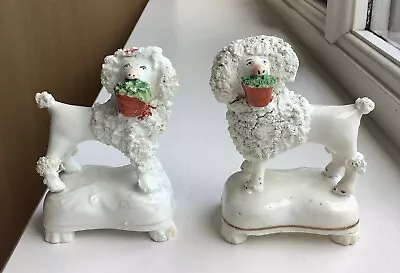 Buy Pair Small Antique Miniature Staffordshire Poodles • 45£