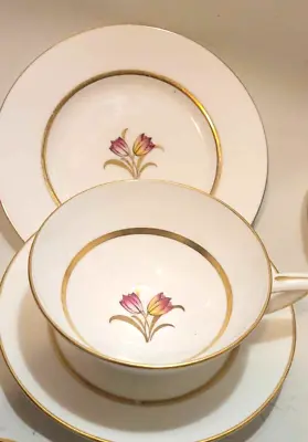 Buy Mintons Dover Tea Cup Saucer Plate Trio Hand Painted Tulip Bone China England • 15£