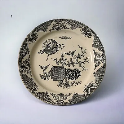 Buy Antique Plate T Furnival & Sons Formosa Black Ivory Pattern 1879 8” England • 18.46£
